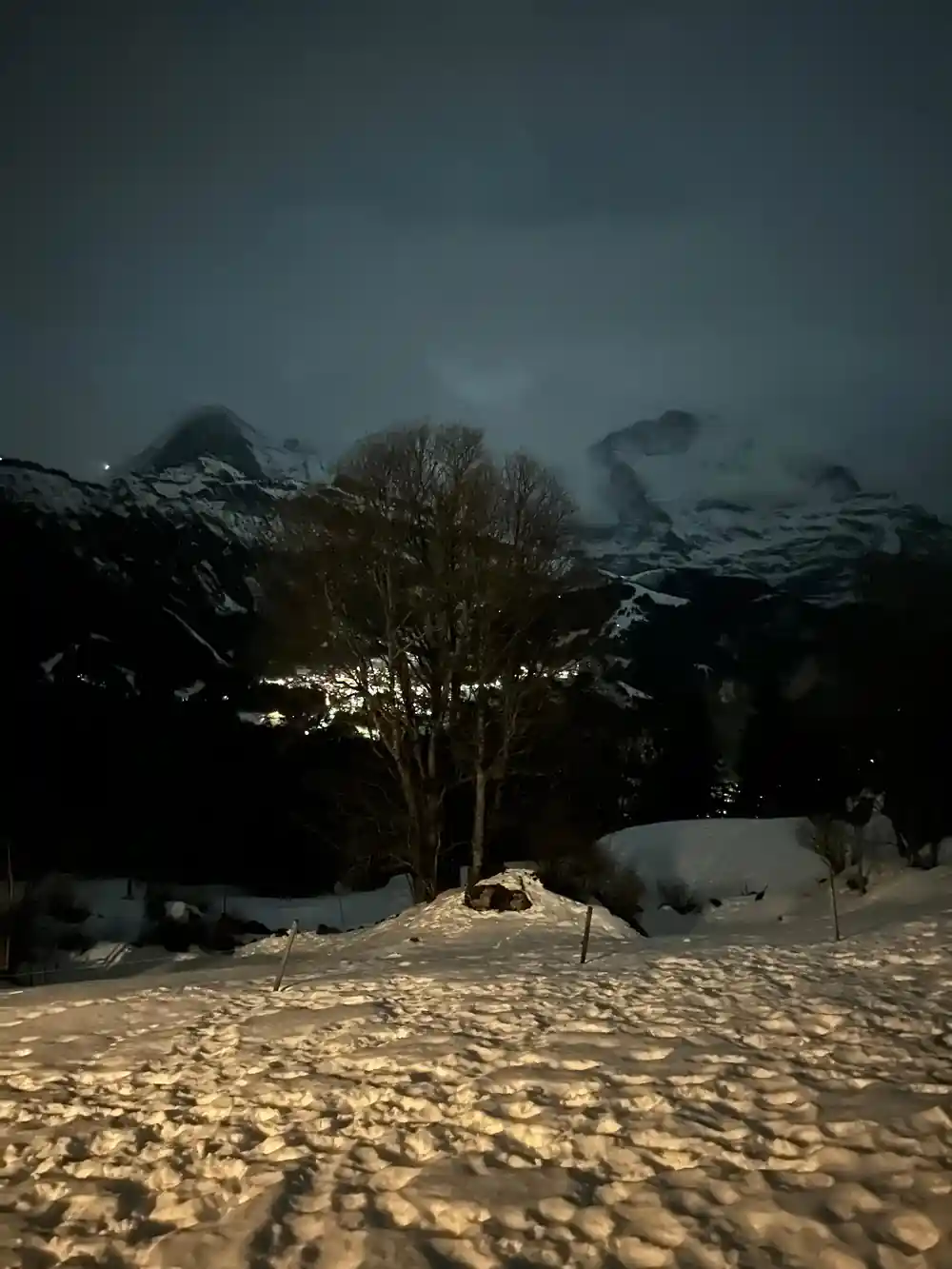 Bare trees and deep snow with the massif standing behind at dusk