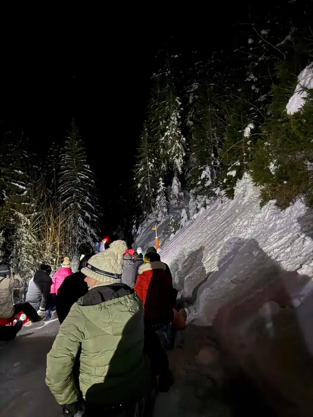 A group with sleds on a track between snowy trees at night