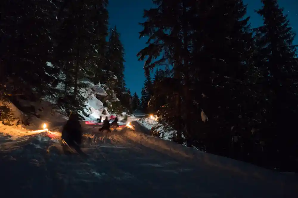 Sledders on a track running between dark trees, lights along the edge