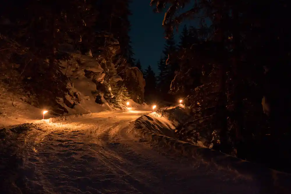 A snowy forest track lit warm orange by lamps along its length